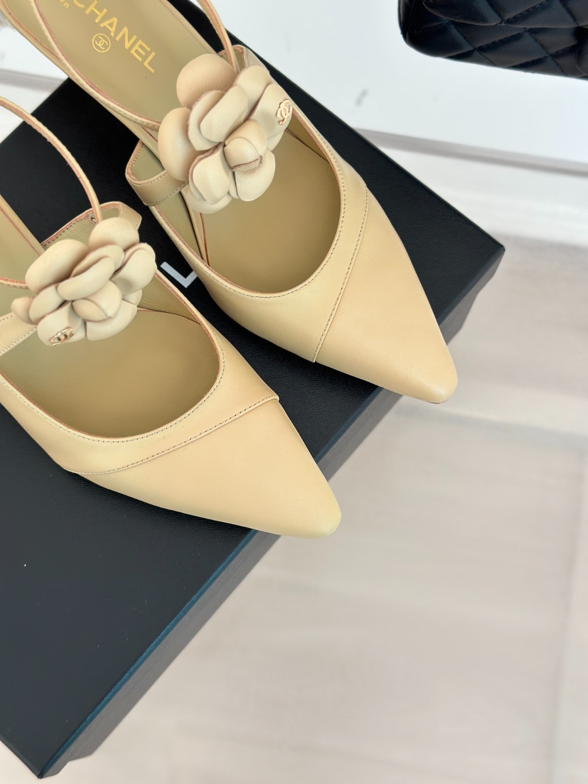 088 31123106 SIZE 35-41