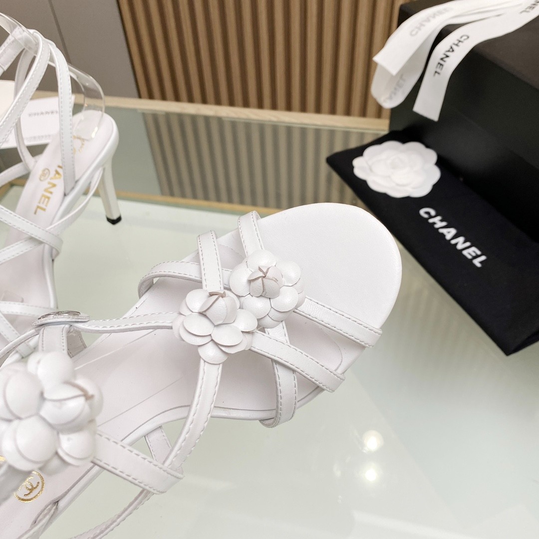 088 34123113 SIZE 35-40
