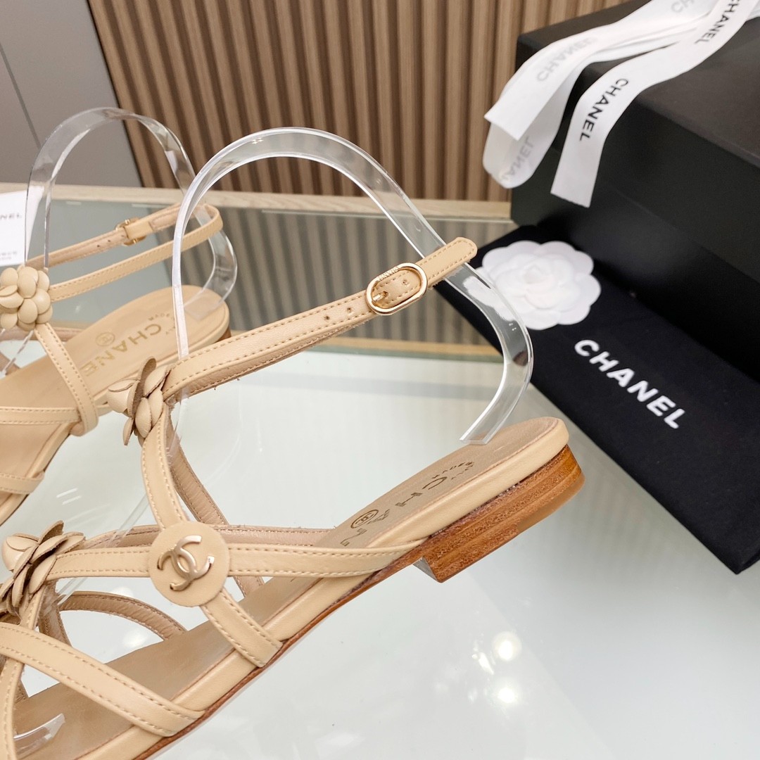 081 33123111 SIZE 35-40
