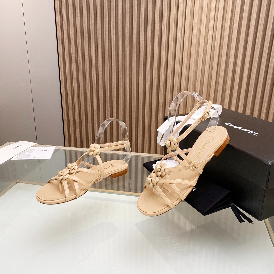 081 33123111 SIZE 35-40