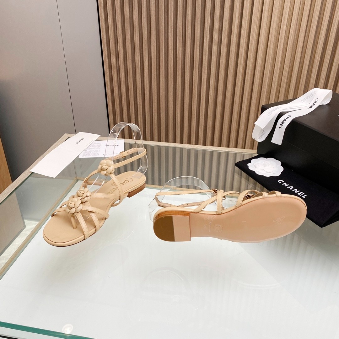 081 33123111 SIZE 35-40