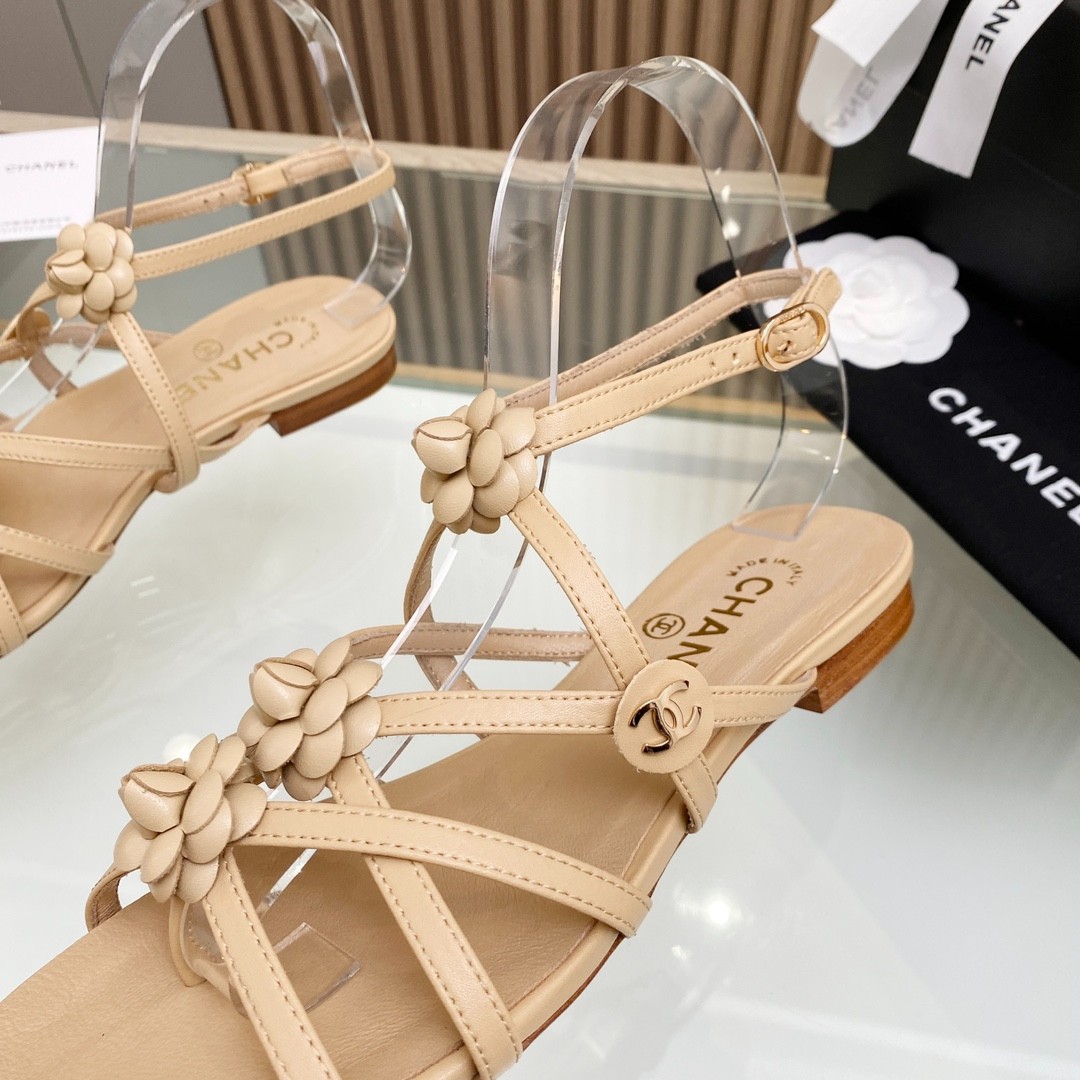 081 33123111 SIZE 35-40