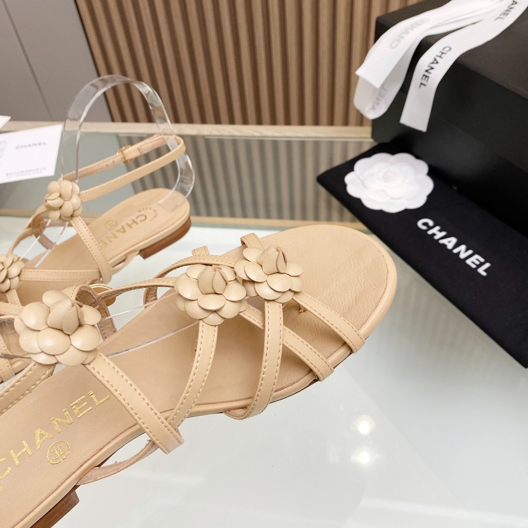 081 33123111 SIZE 35-40