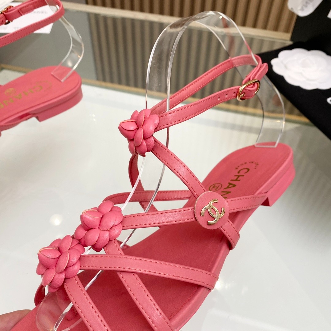 080 33123111 SIZE 35-40