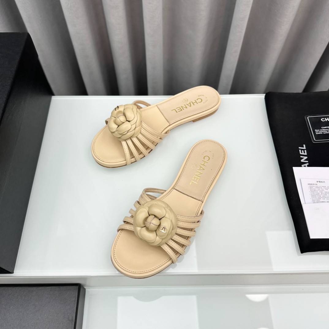 006 28123099 SIZE 34-41