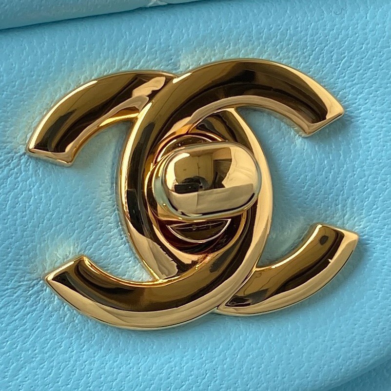010 85123231 （ 23cm）