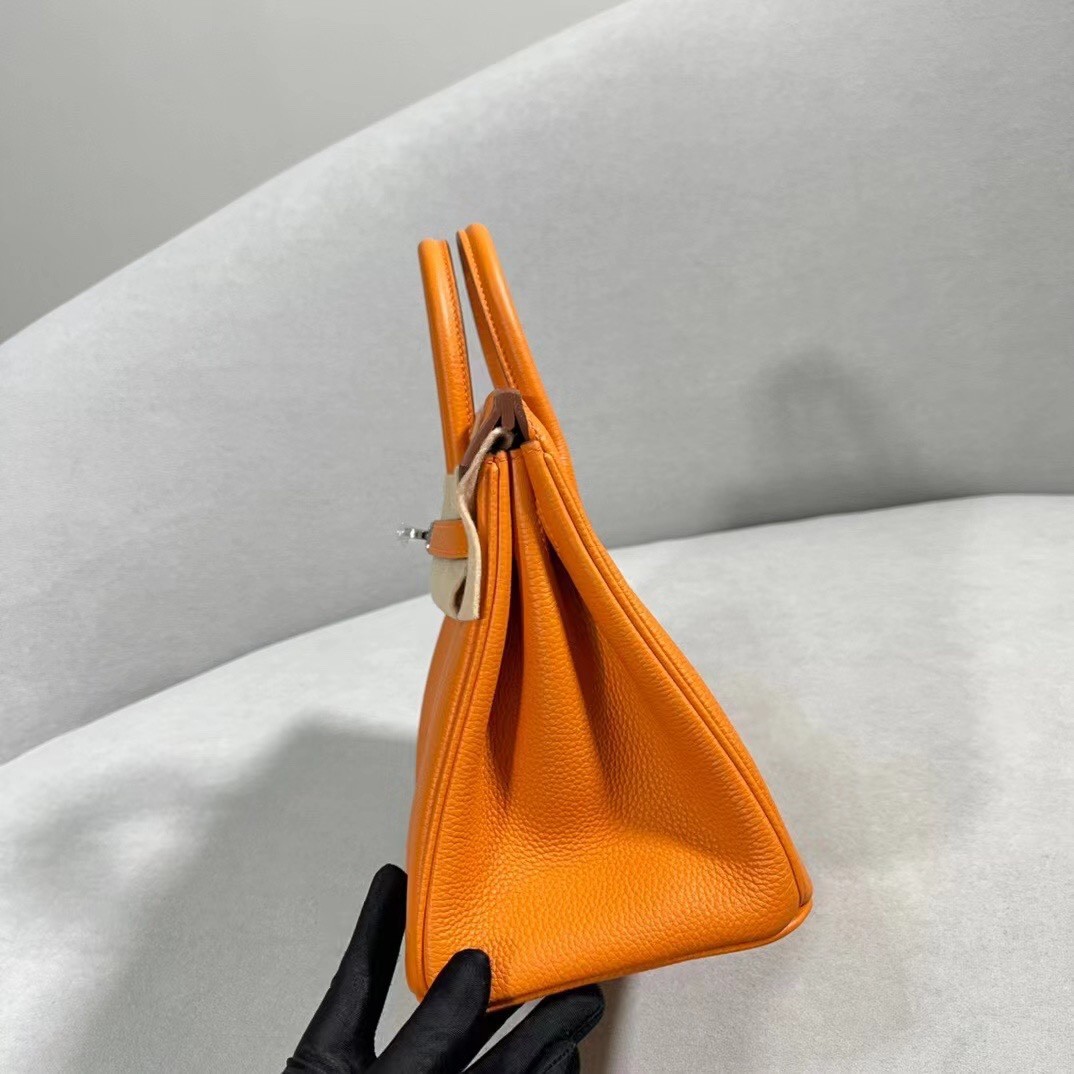 098 132#208-Hermès-Bags-2023SS
