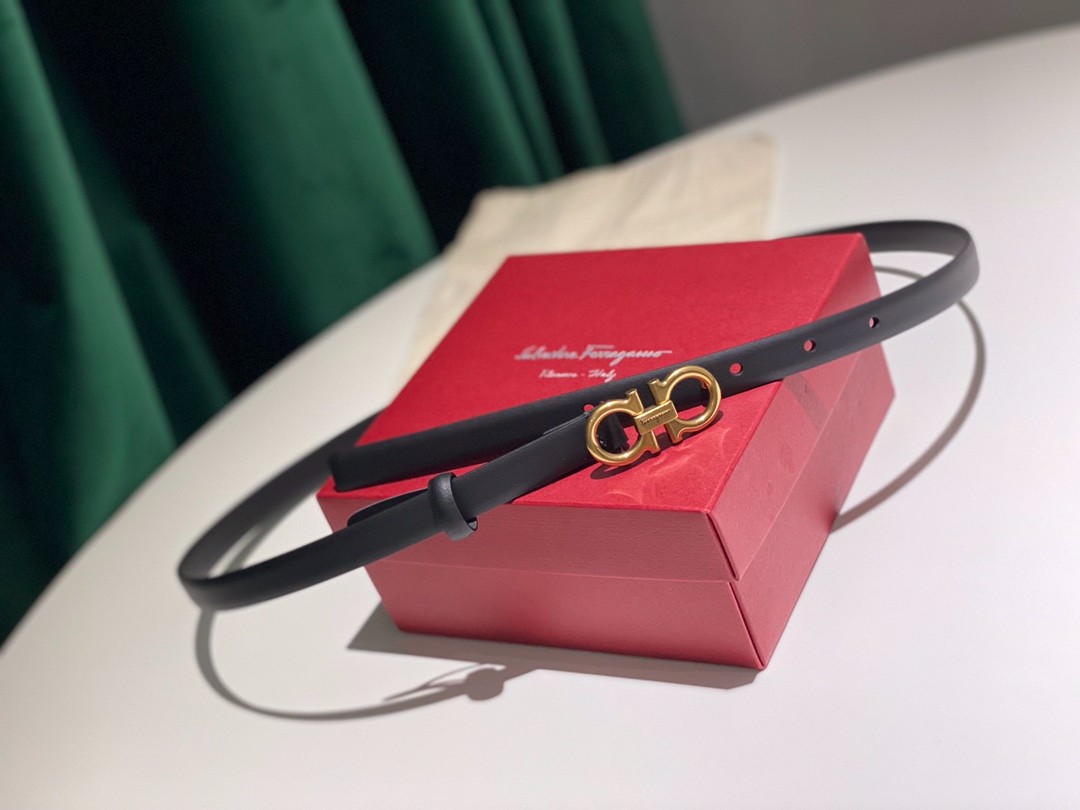 14 Ferra gamo Belt