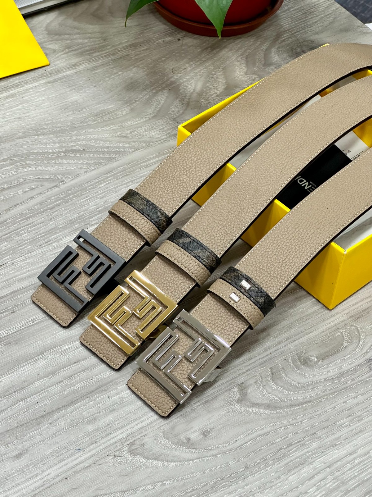 13 Fen di Belt