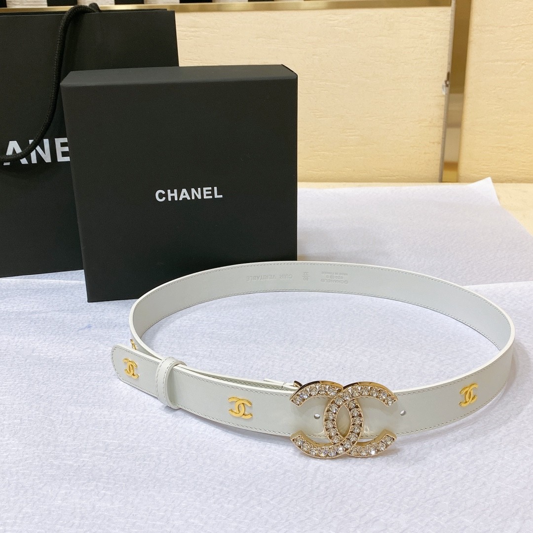 02 C Belt