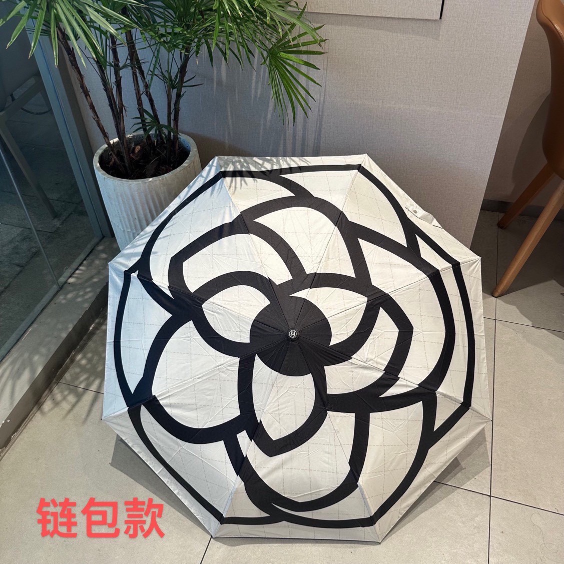 43 C umbrella