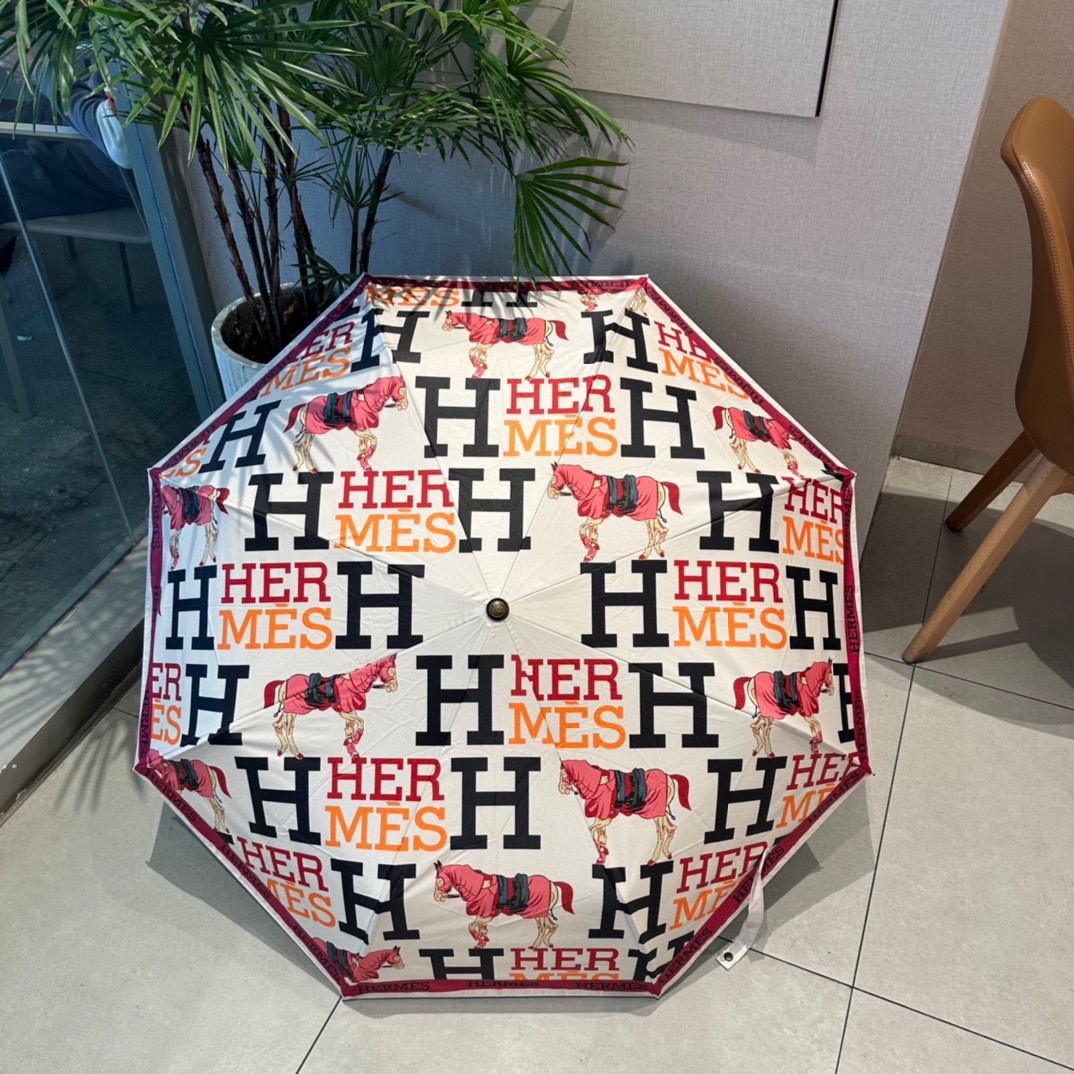 39 Her-mes umbrella