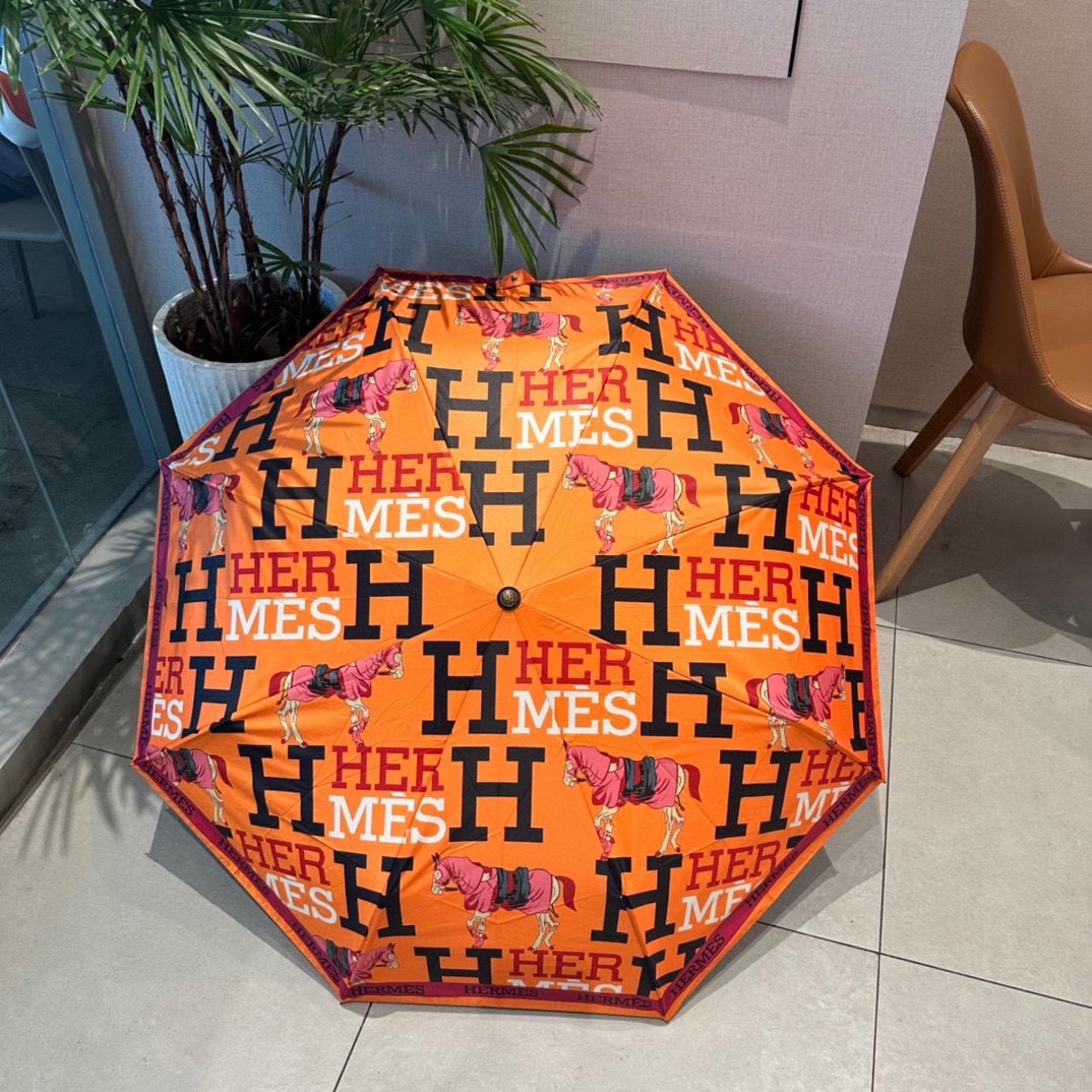 39 Her-mes umbrella