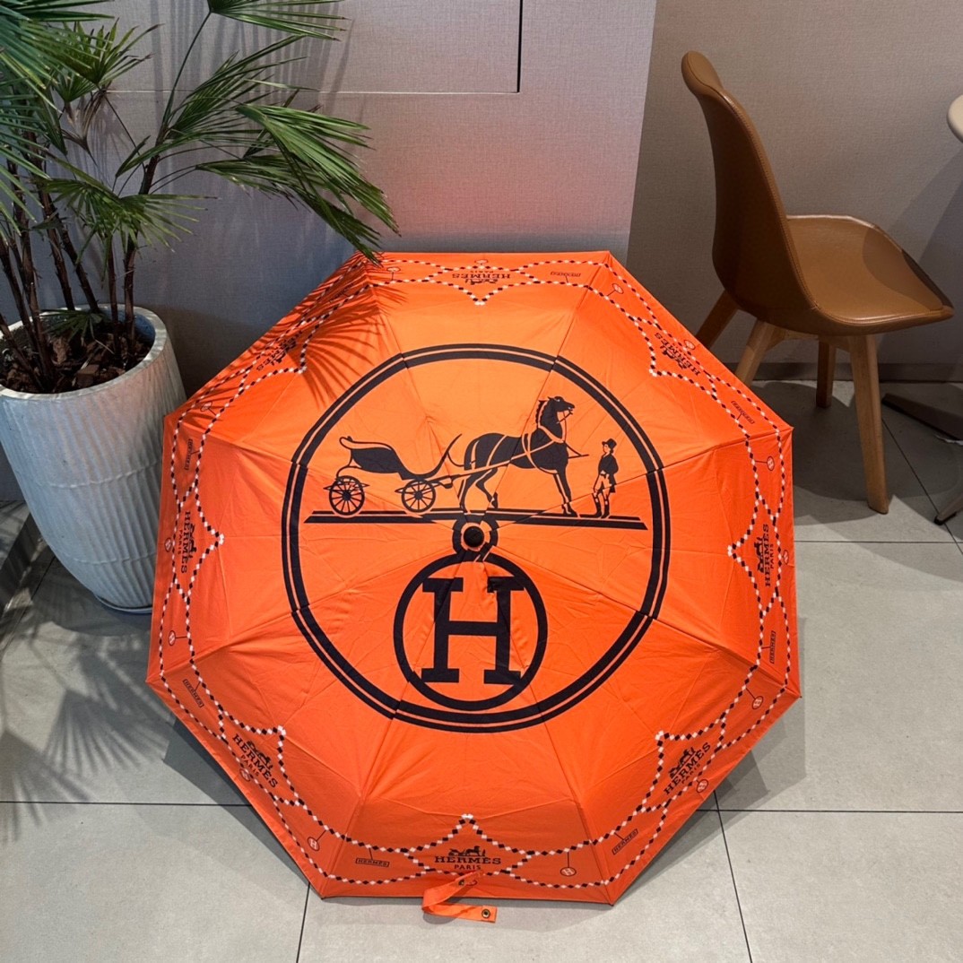 39 Her-mes umbrella