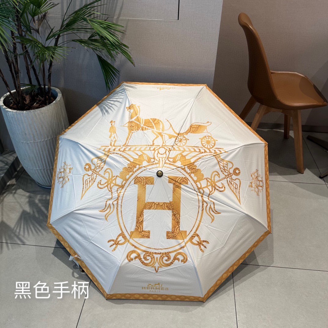 39 Her-mes umbrella