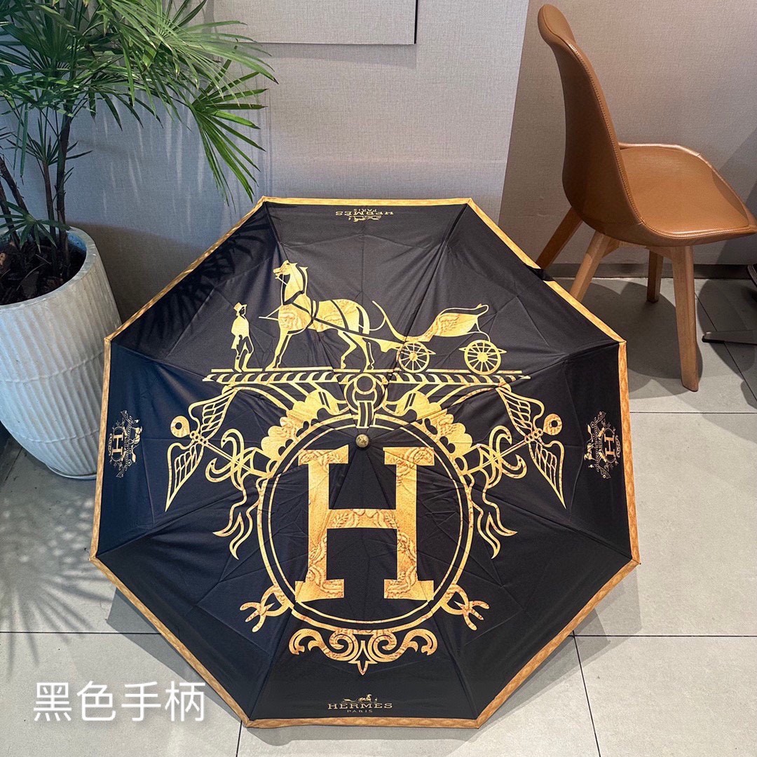 39 Her-mes umbrella