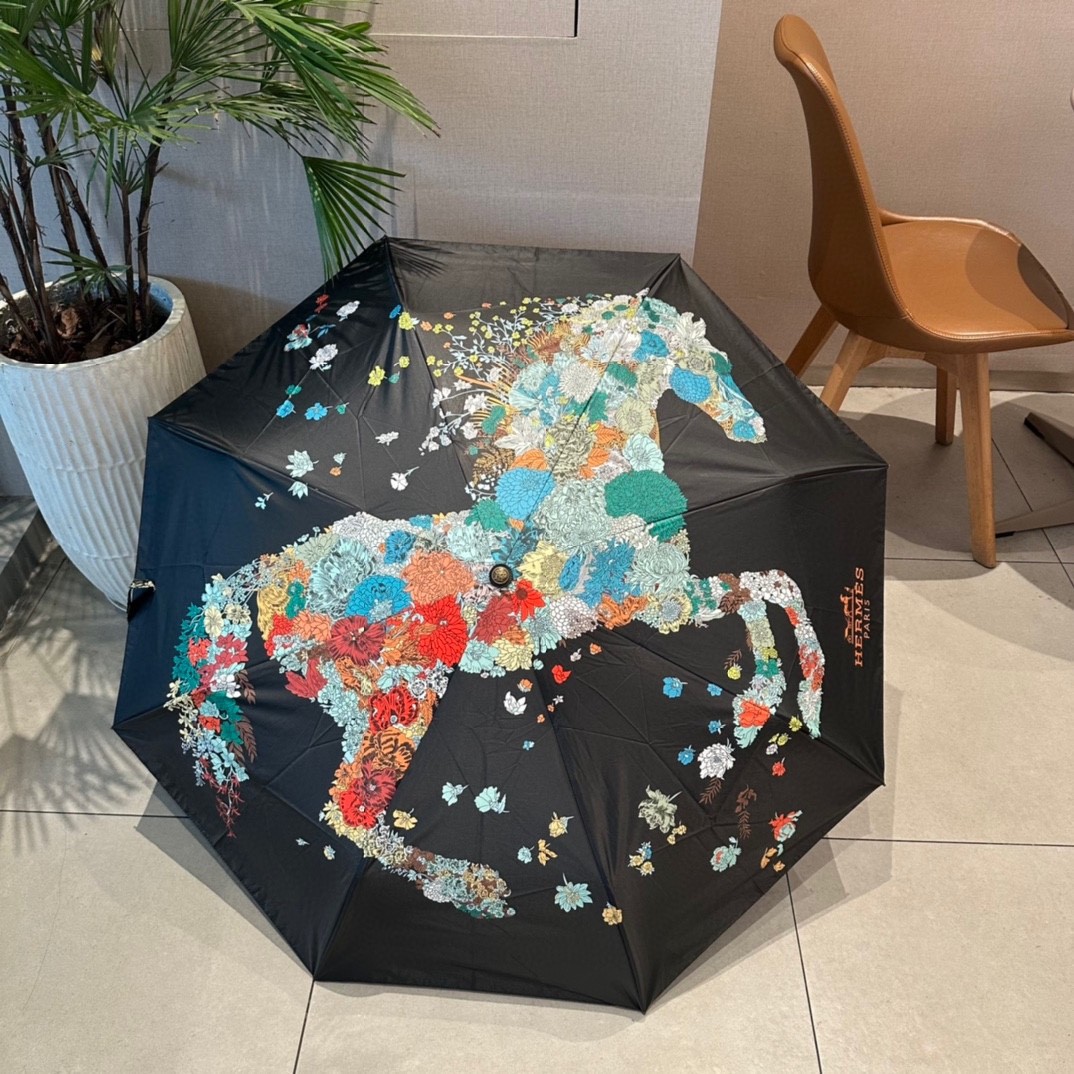39 Her-mes umbrella