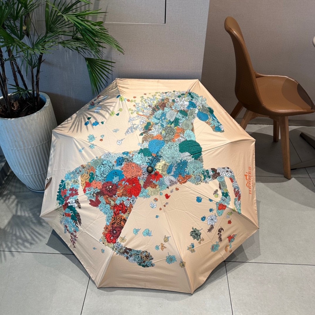 39 Her-mes umbrella
