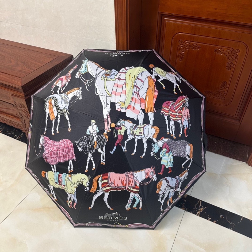 39 Her-mes umbrella