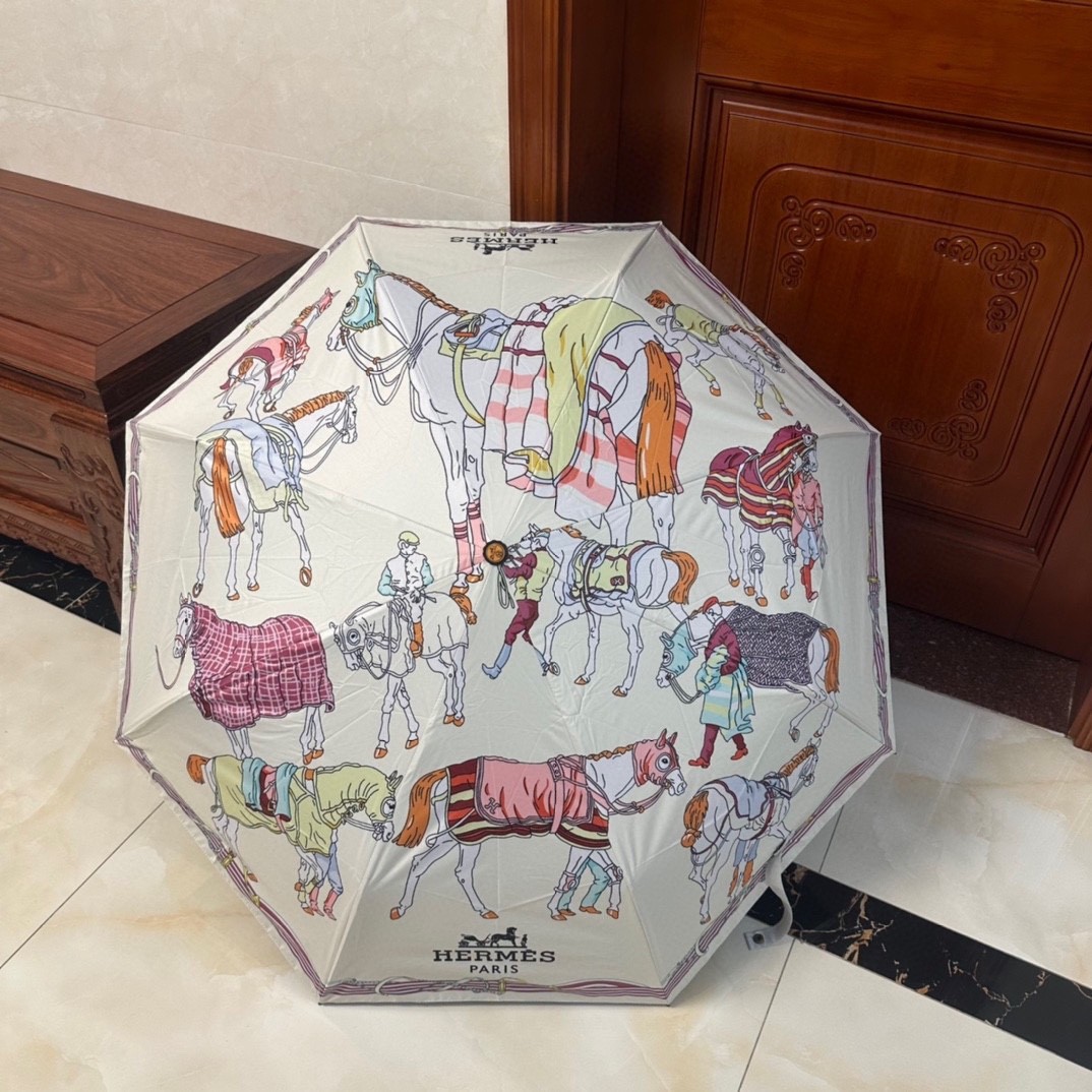 39 Her-mes umbrella