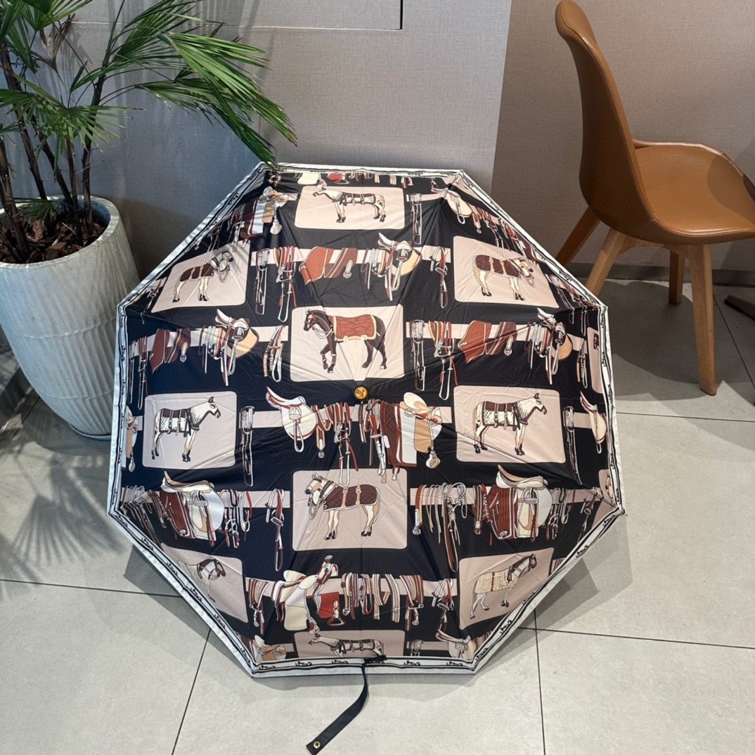 39 Her-mes umbrella
