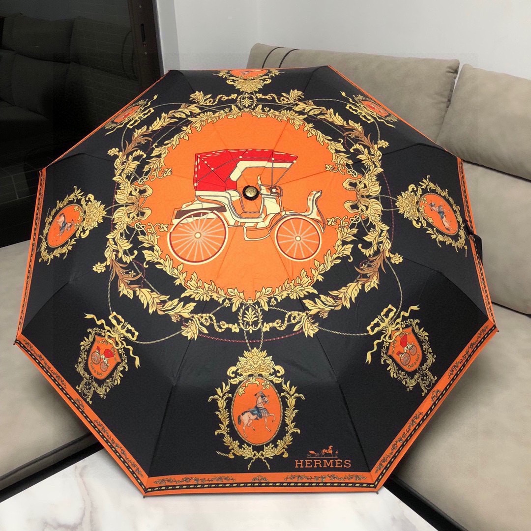 39 Her-mes umbrella
