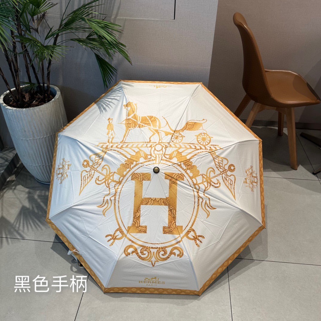 39 Her-mes umbrella