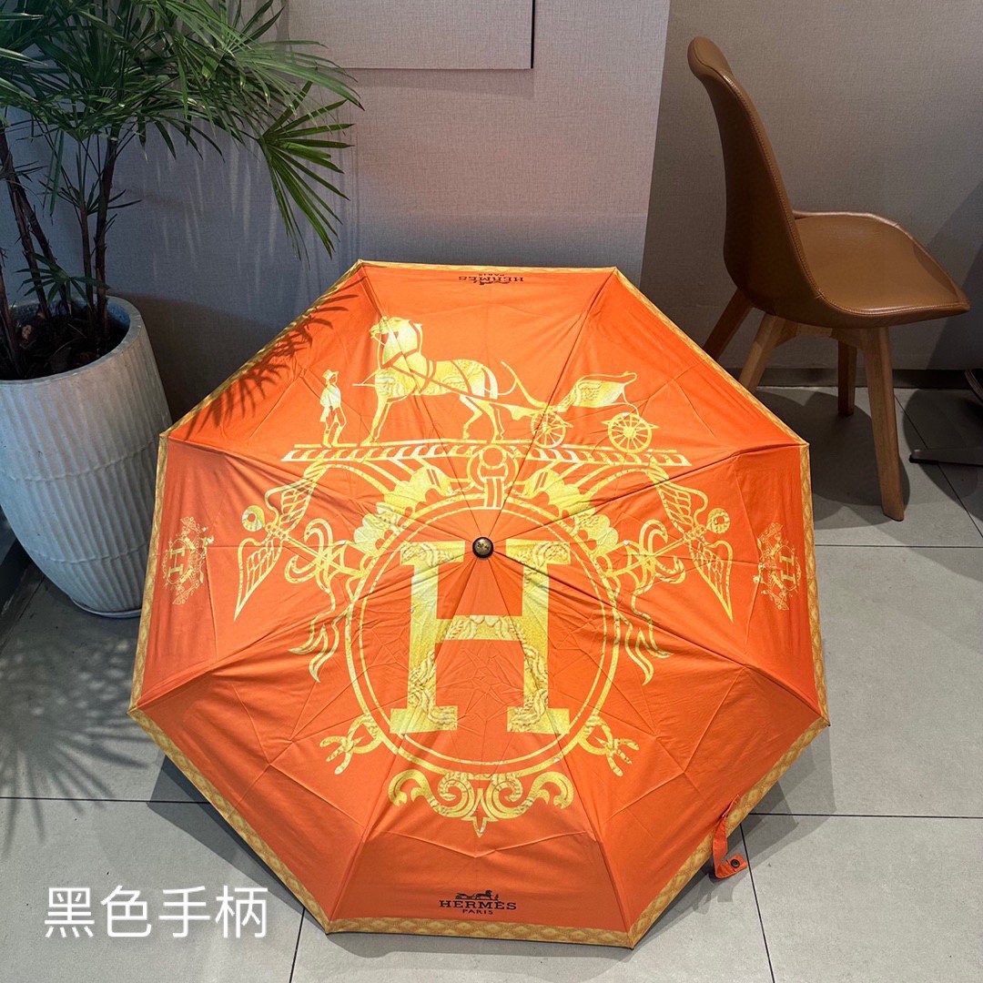 39 Her-mes umbrella