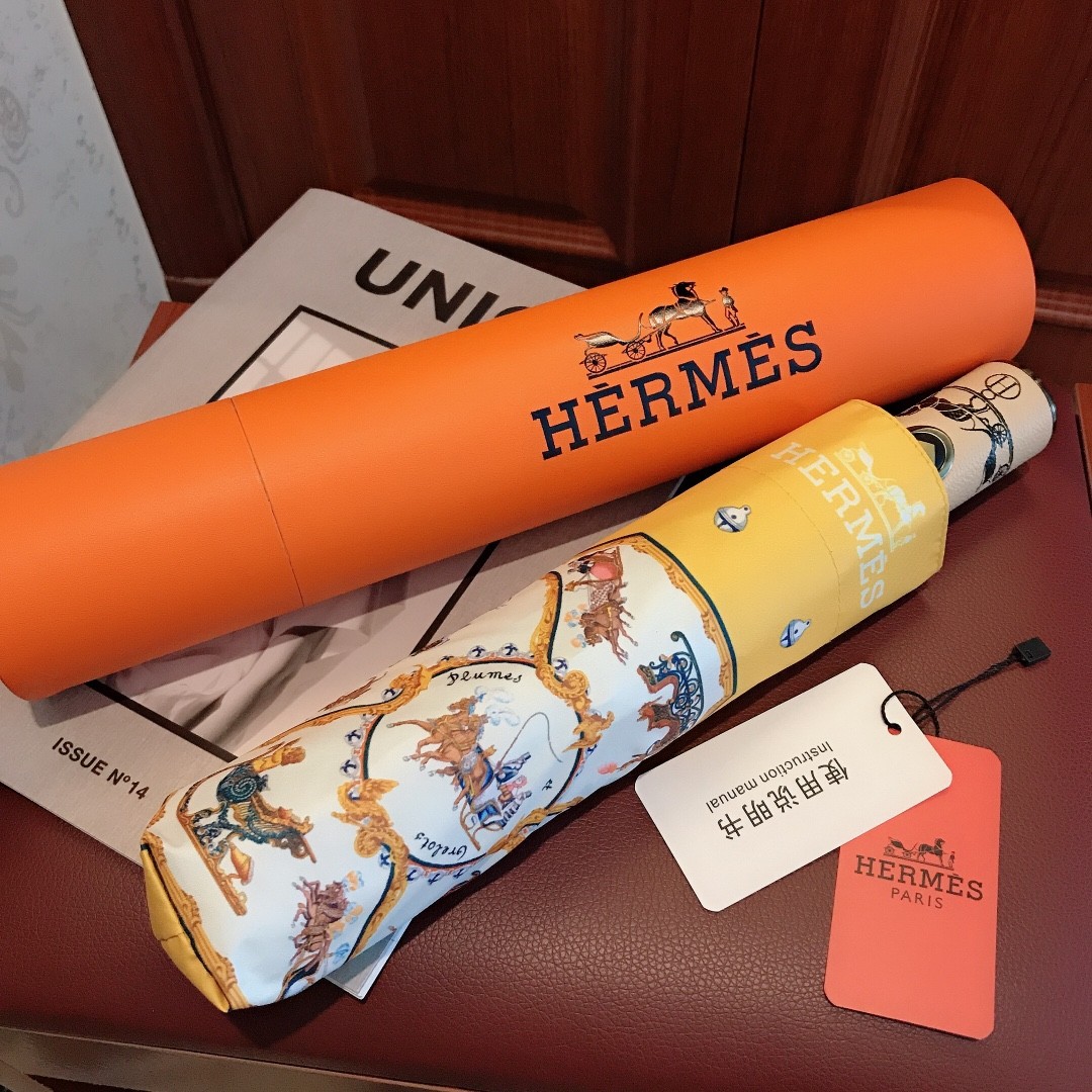 39 Her-mes umbrella