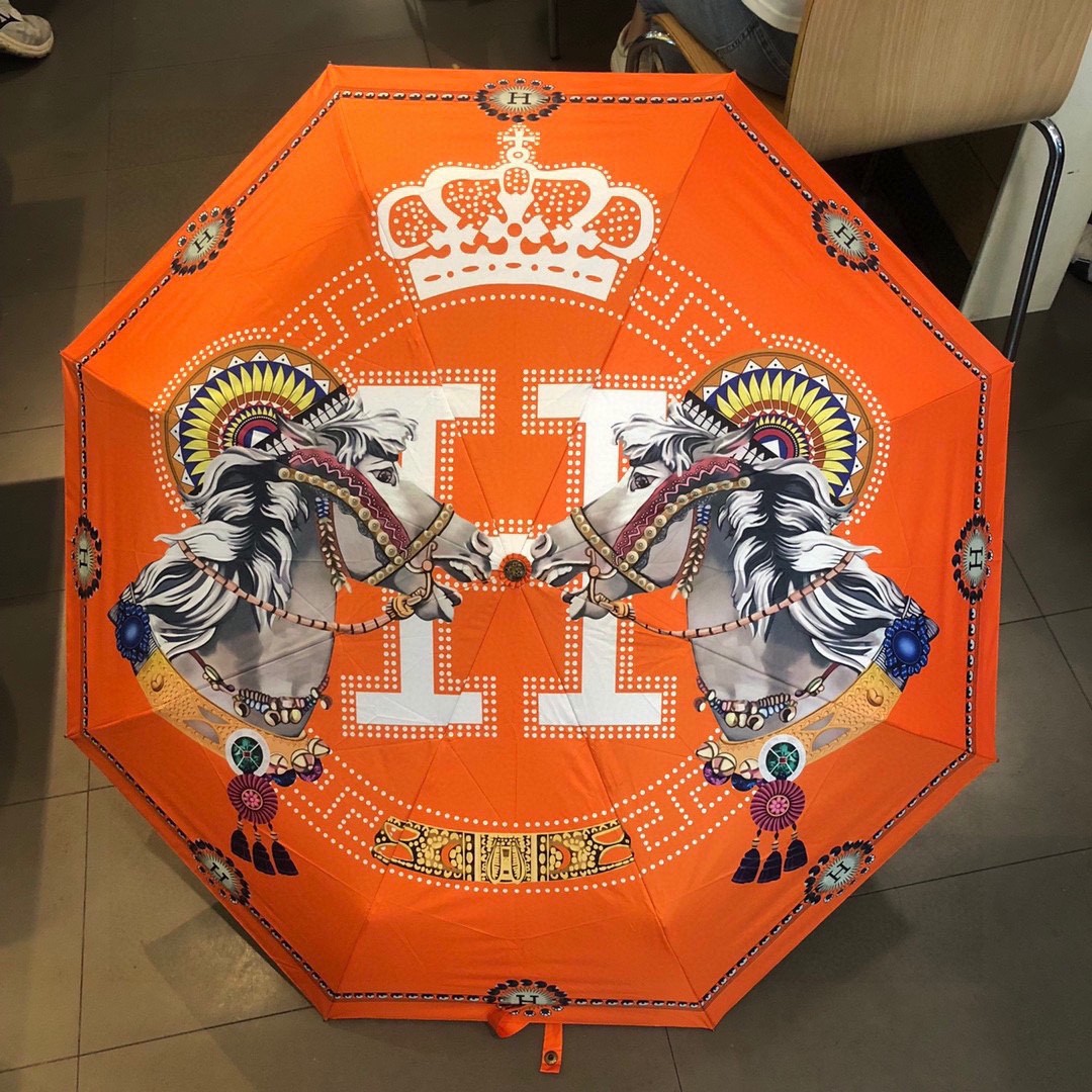 39 Her-mes umbrella