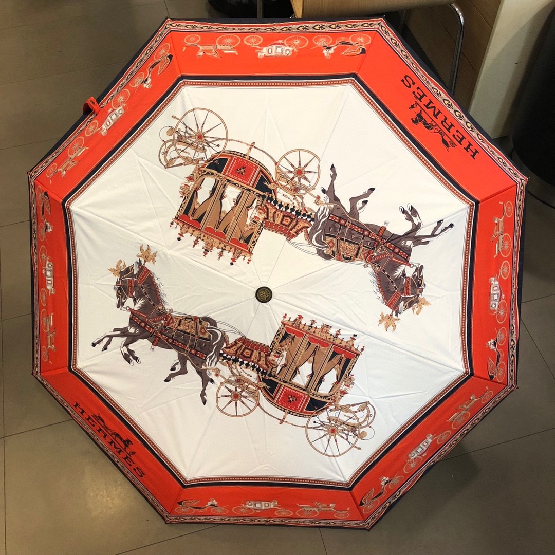 39 Her-mes umbrella