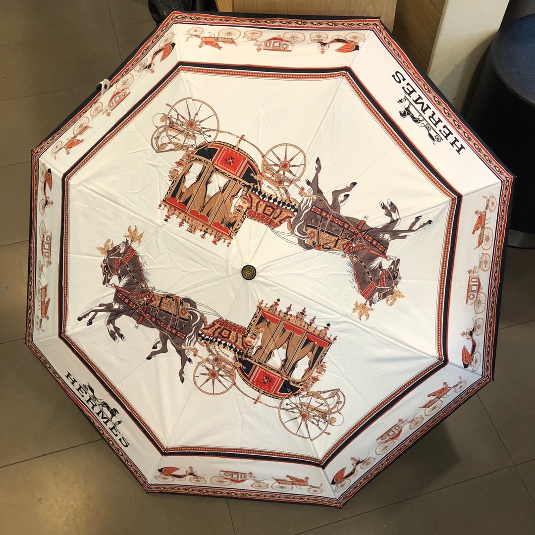 39 Her-mes umbrella