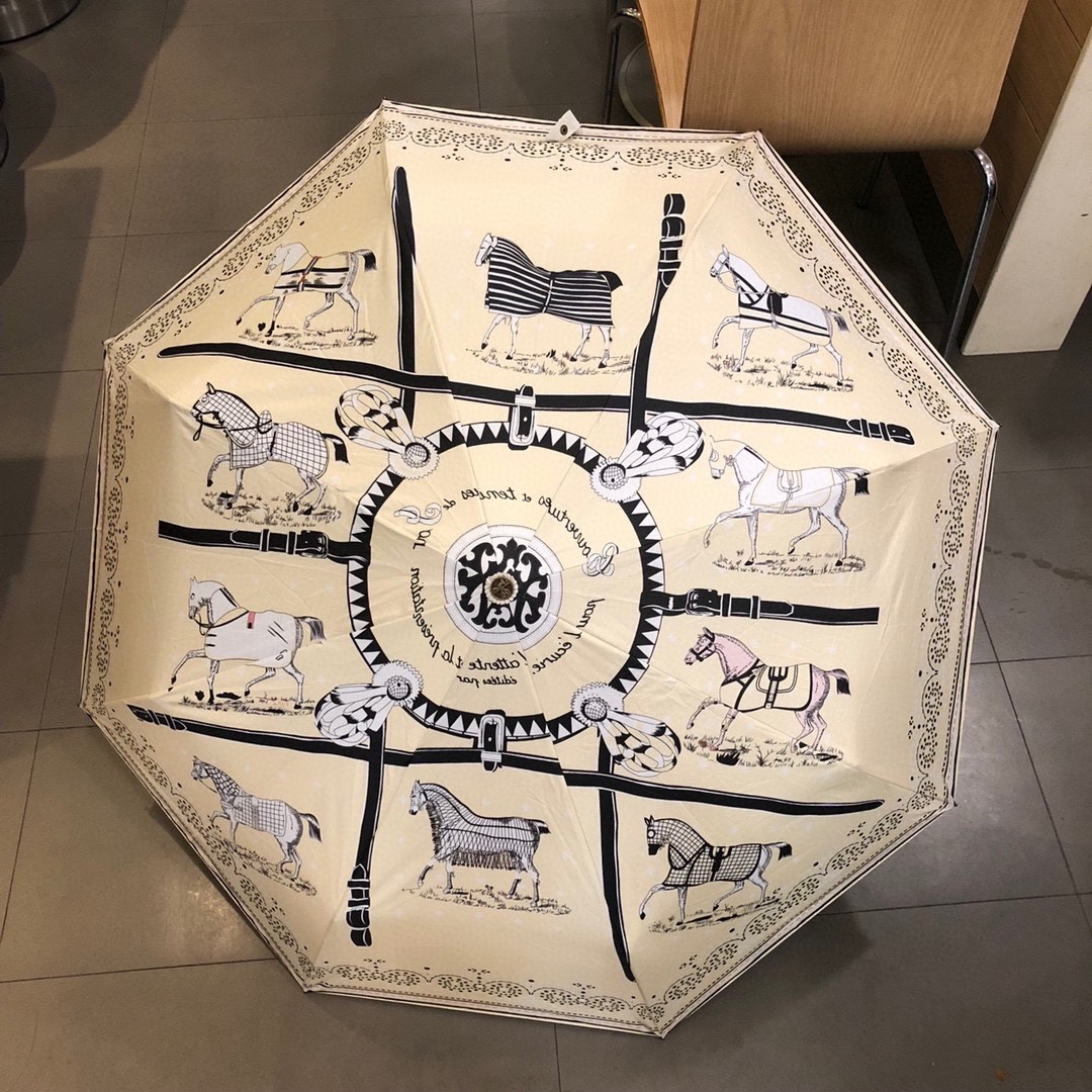 39 Her-mes umbrella