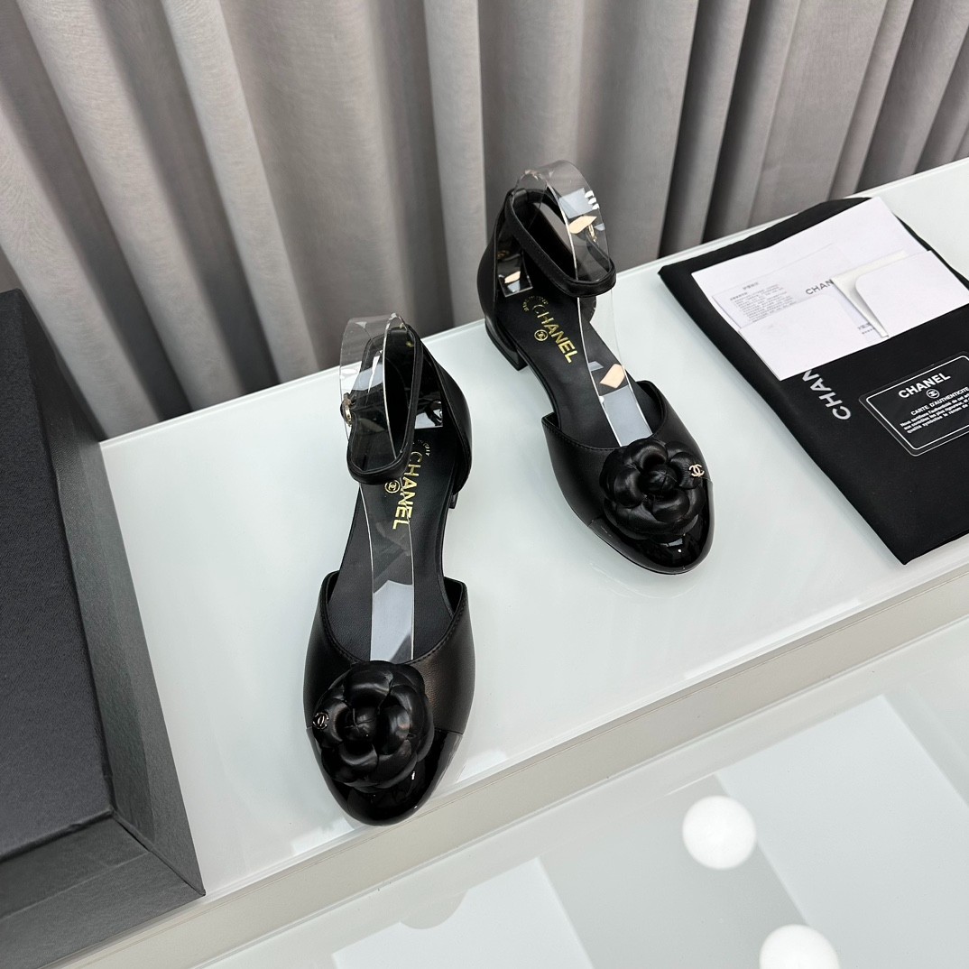 019 30123122 size 35-42