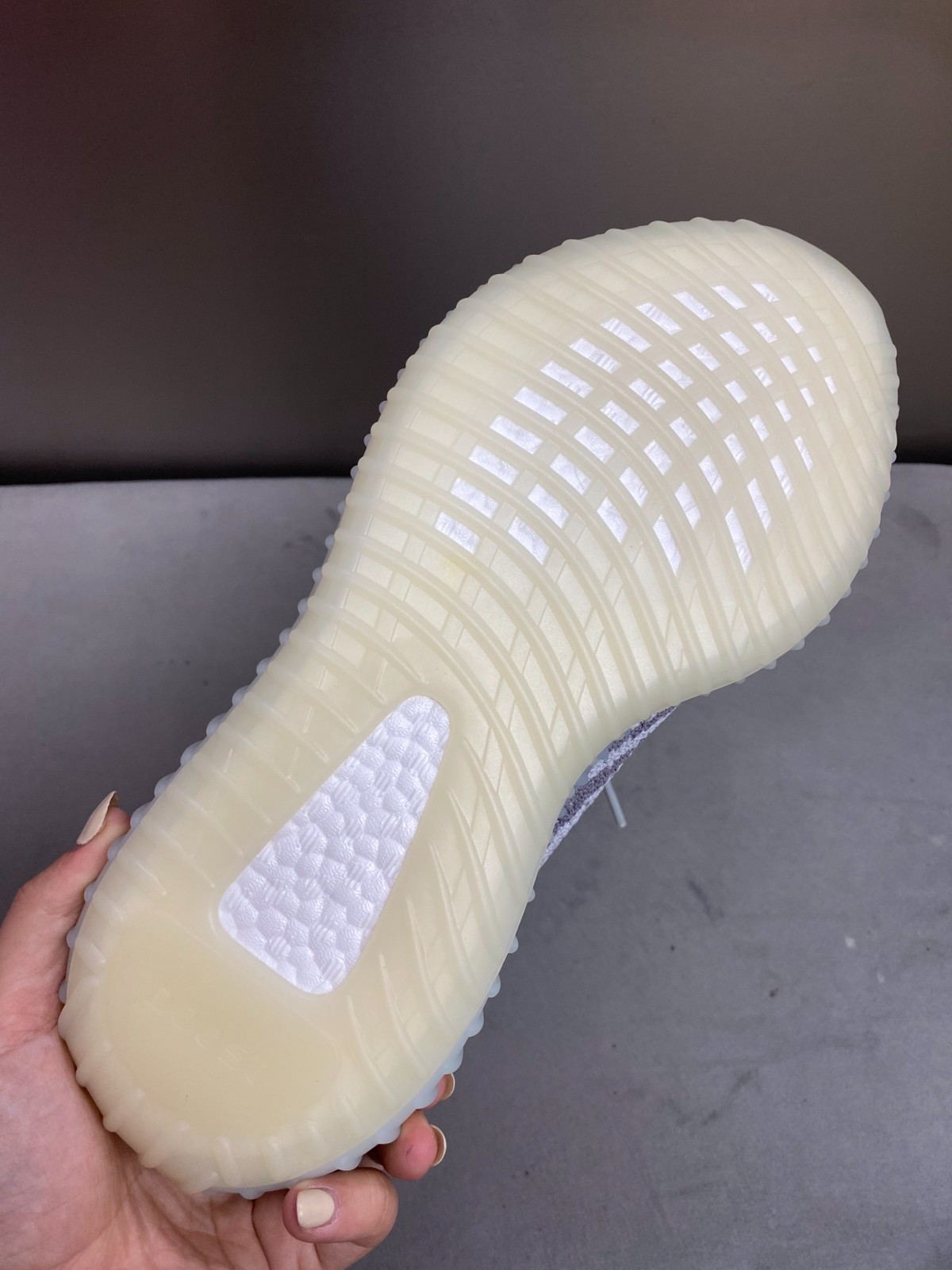 114 23123088 size 36-49