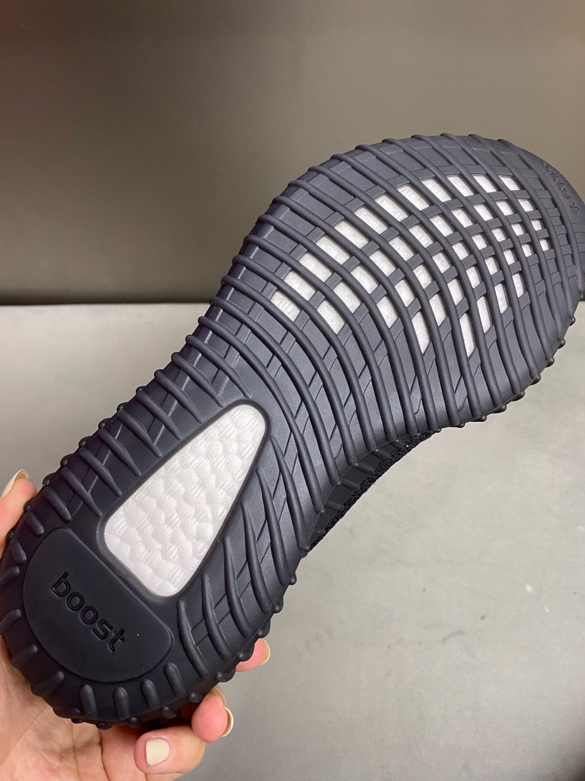 109 23123088 size 36-49