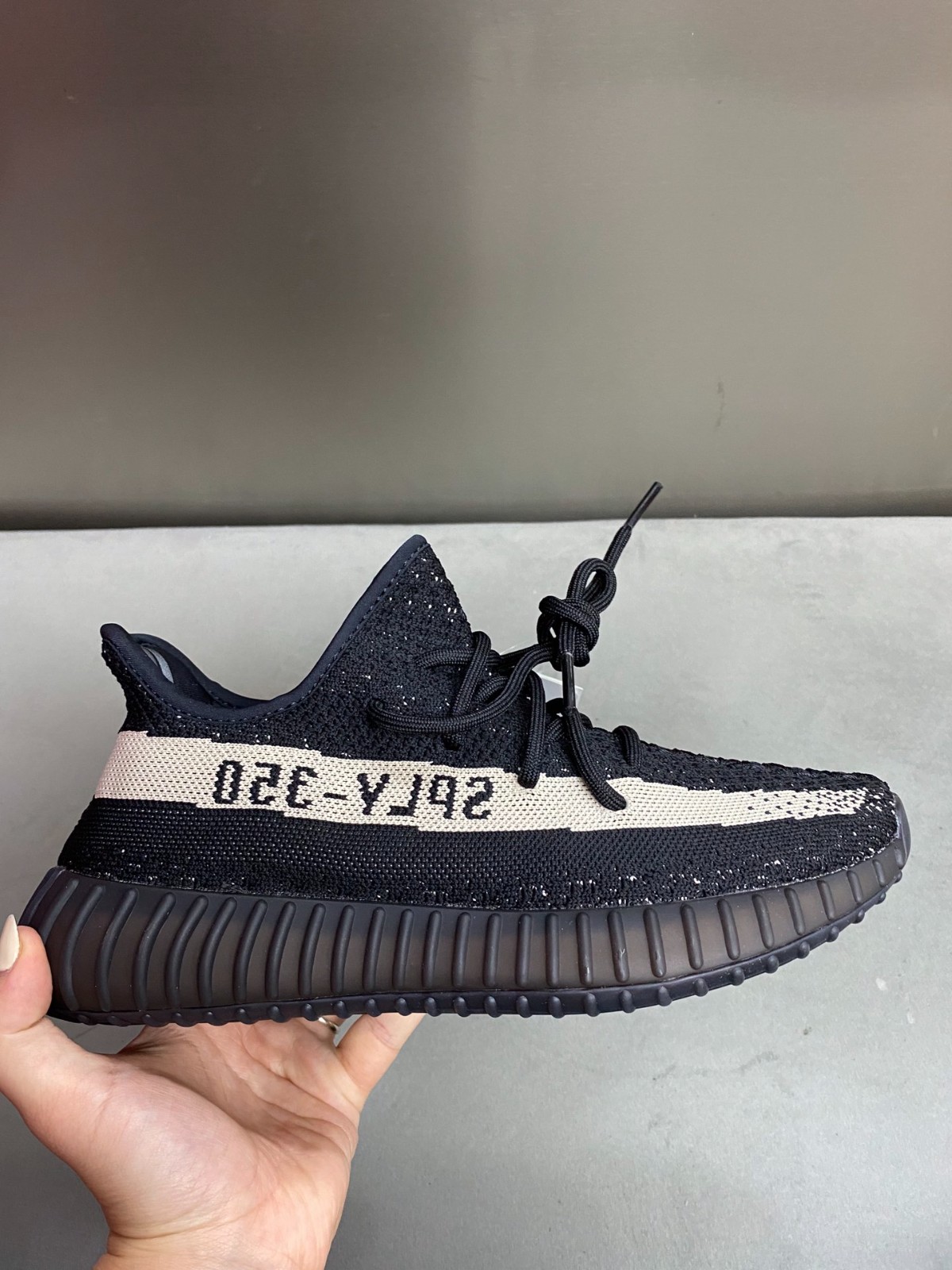 109 23123088 size 36-49