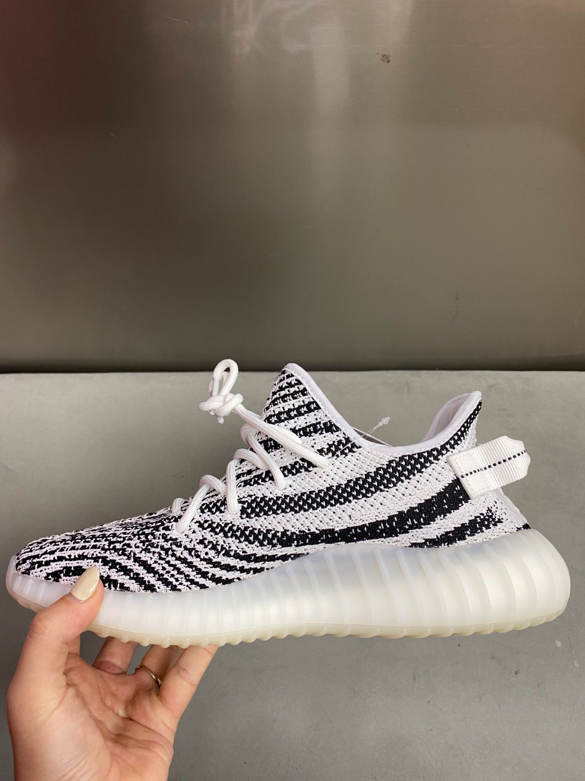 108 23123088 size 36-49