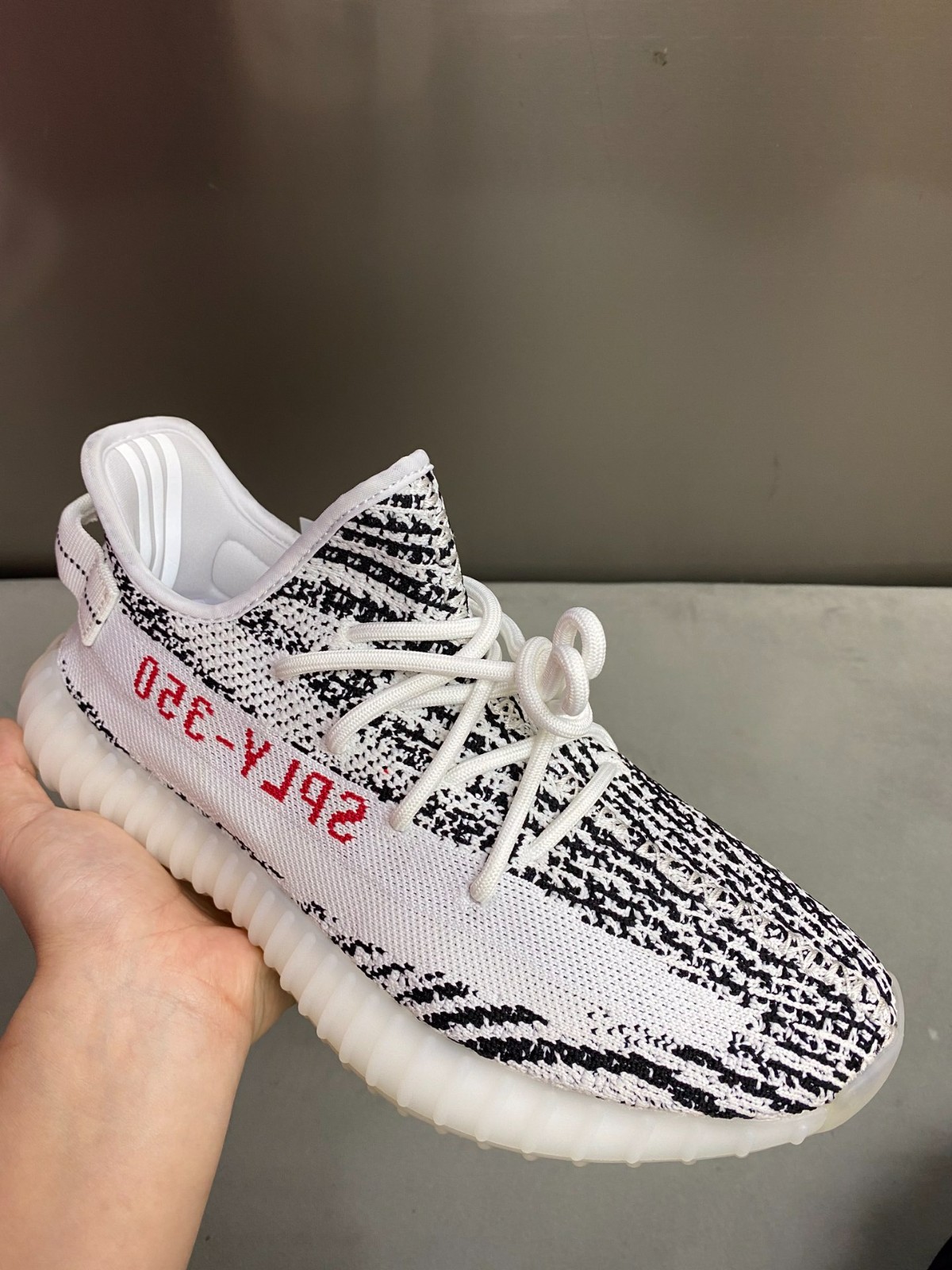 108 23123088 size 36-49