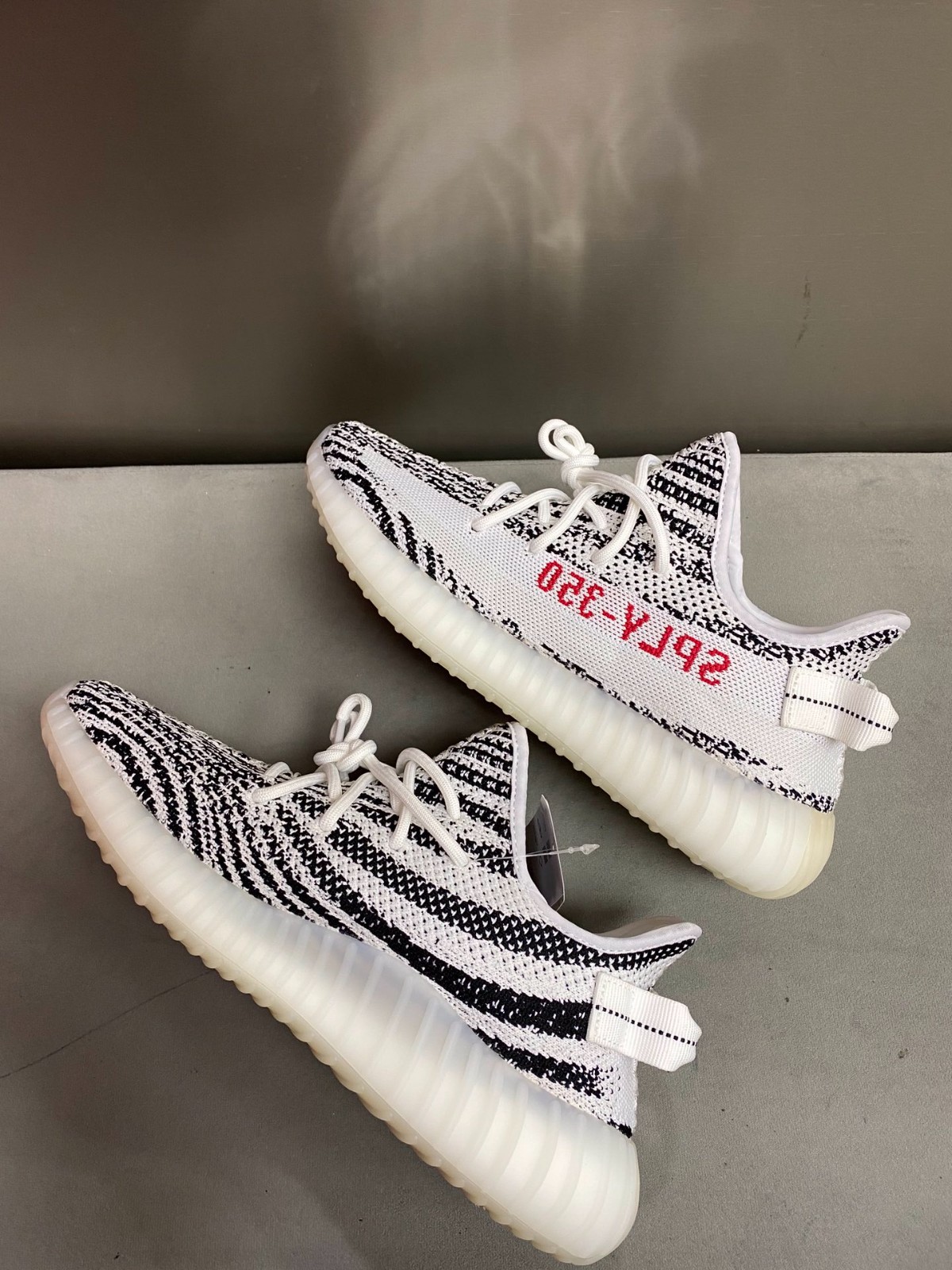 108 23123088 size 36-49