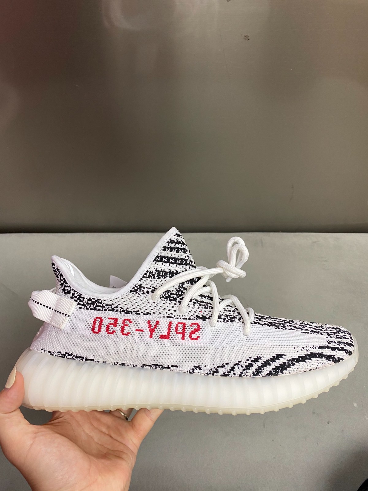 108 23123088 size 36-49