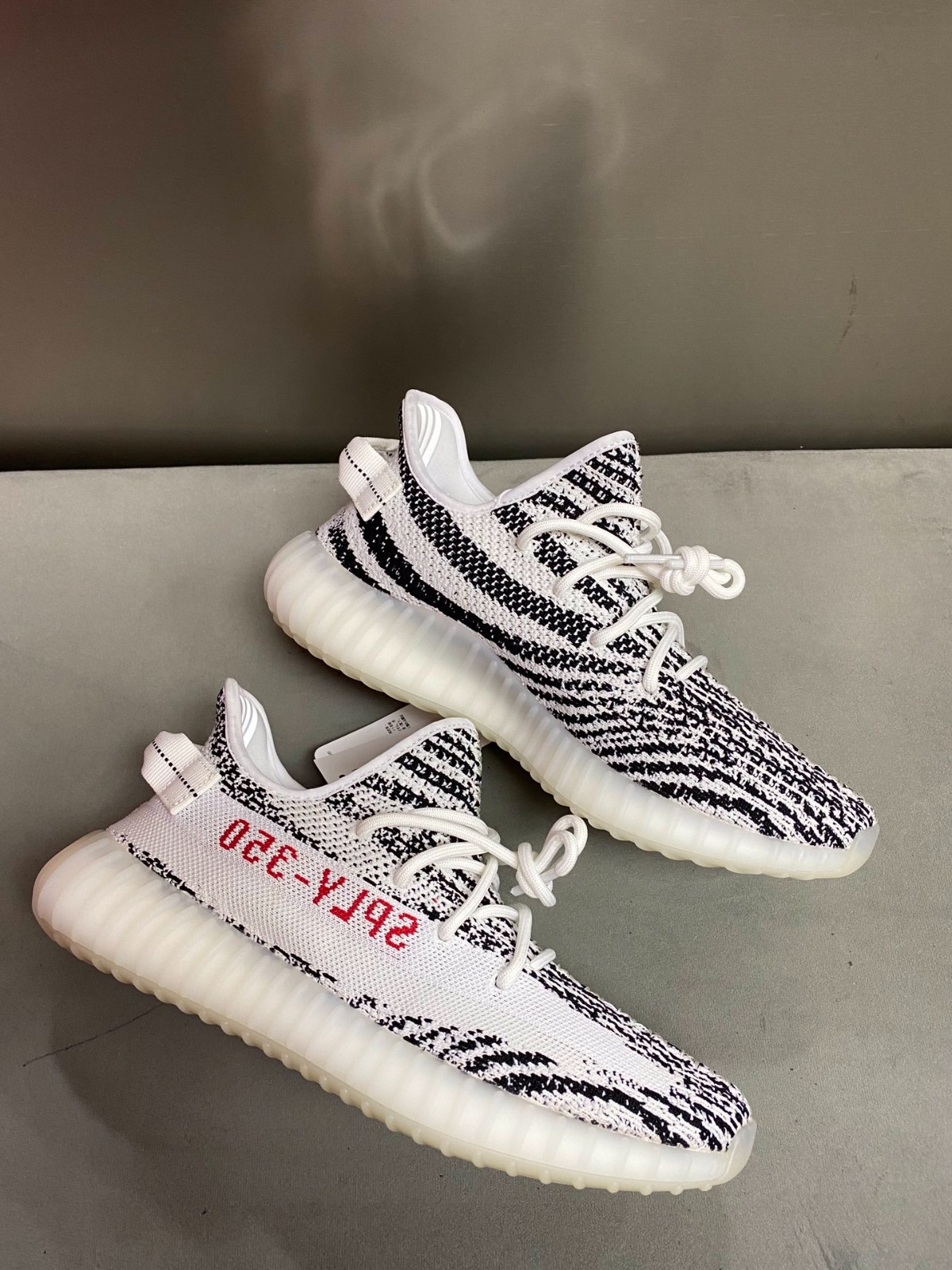 108 23123088 size 36-49