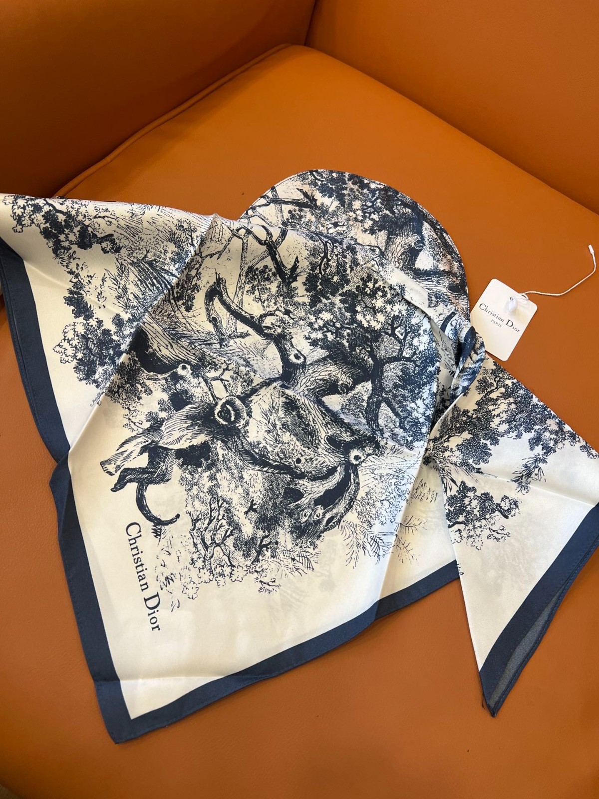 07 Di or Scarf