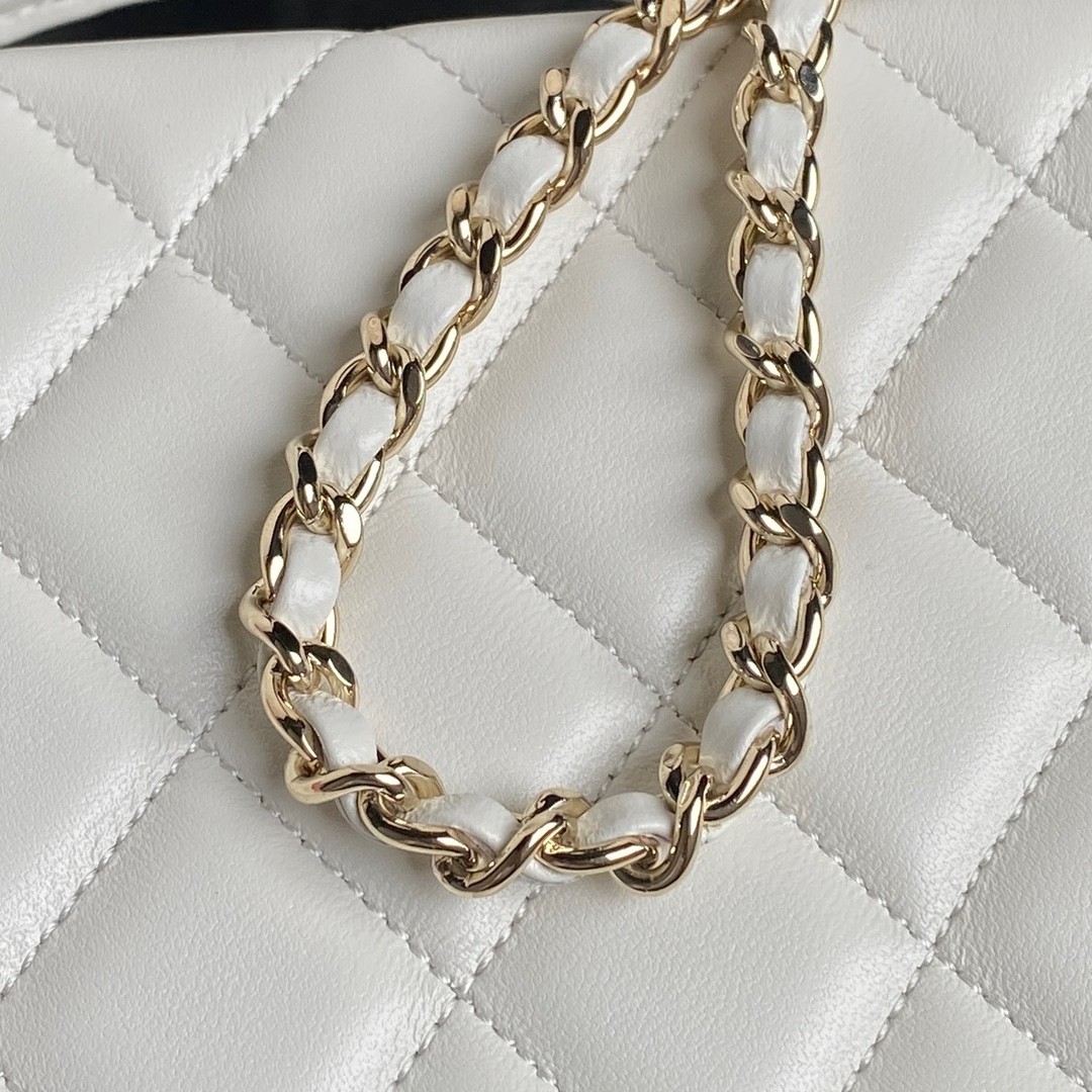 097 CHANEL AS5167