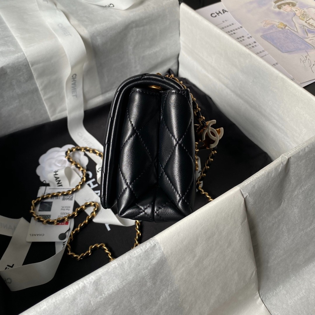 043 CHANEL AS4973