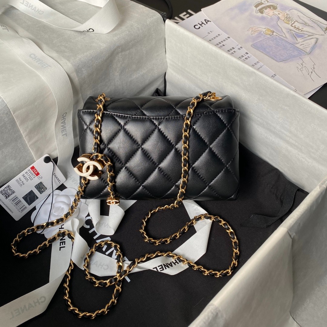 043 CHANEL AS4973