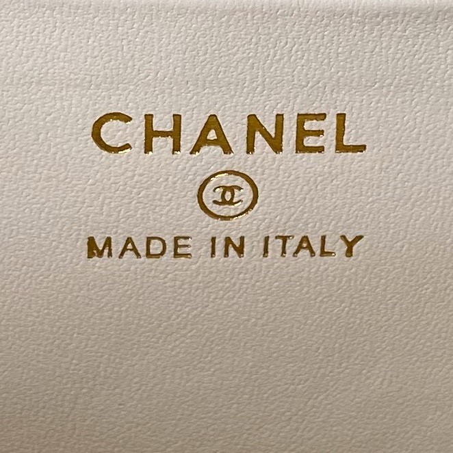 034 CHANEL AP3573