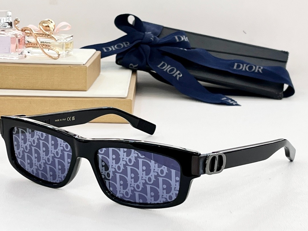 DIOR 02 glasses