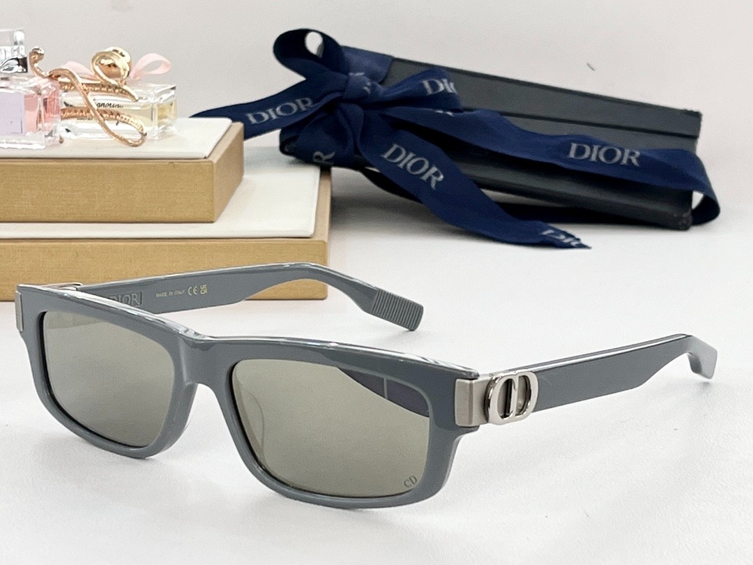 DIOR 02 glasses