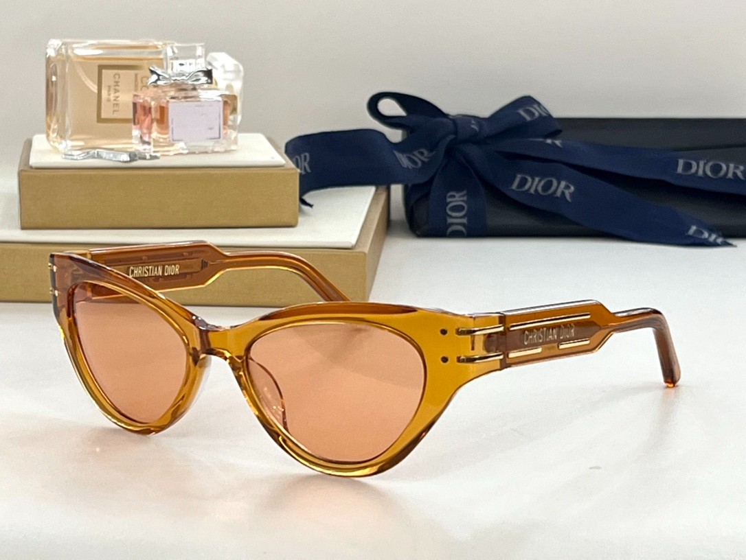 DIOR 02 glasses